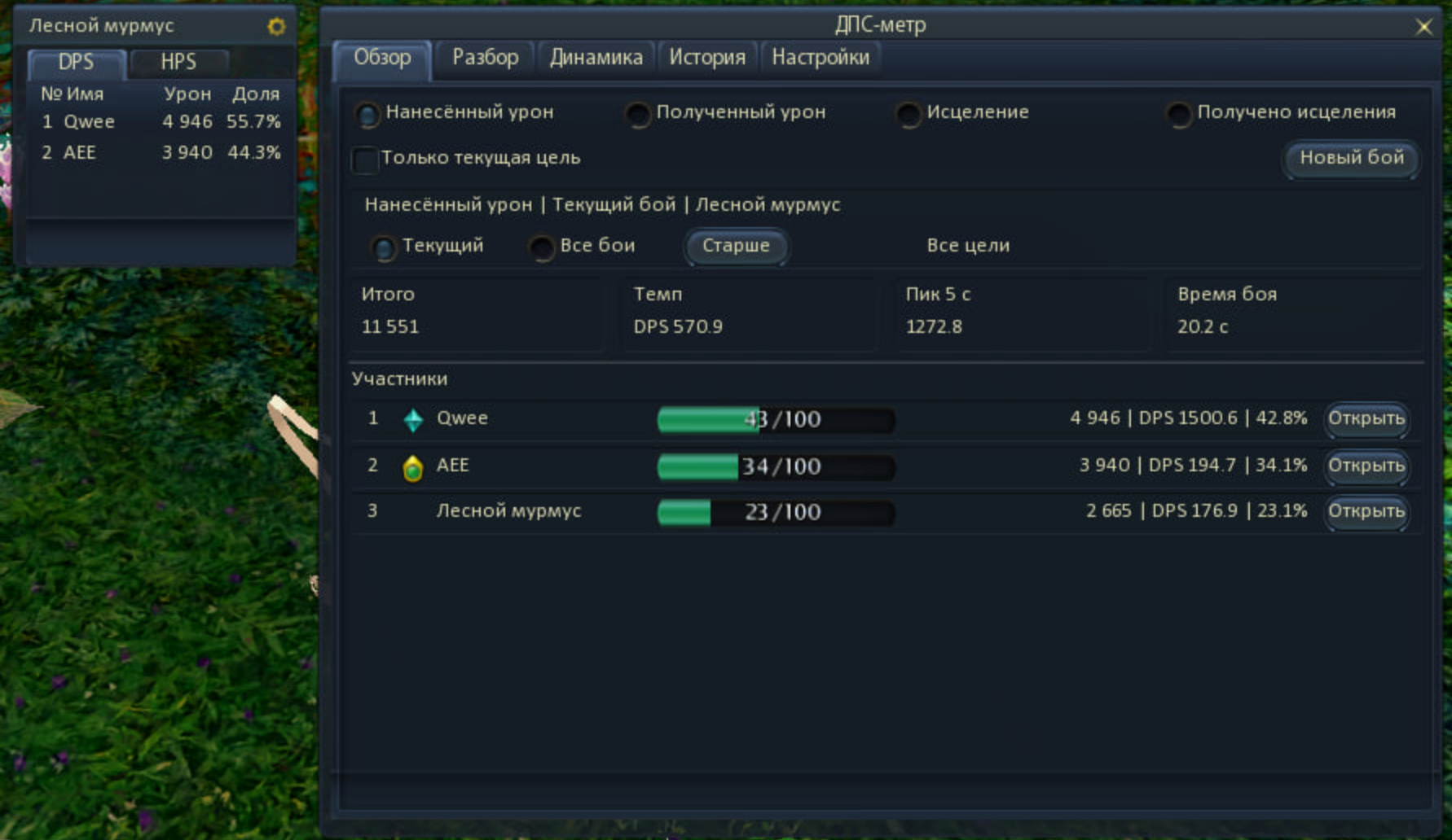 DPS Meter overlay in the game interface